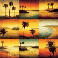 Palm Perspectives #GW4418