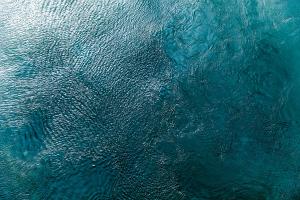 Water Texture Two Birds Eye #90751