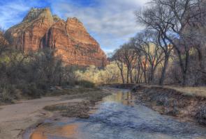 Zion Creek #91593