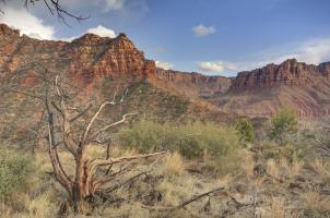 Upper Kolob Reservoir, Zion #91598