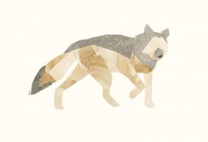 Grey Wolf #98518