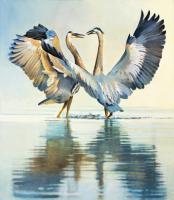 Great Blue Herons #98440