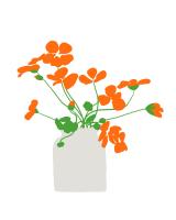 Nasturtium In Vase #103096
