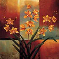 Orange Orchid #ILD4462