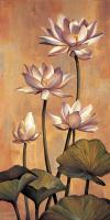 White Lotus #ILD5097