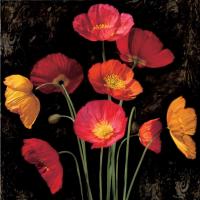 Poppy Bouquet I #IS4621