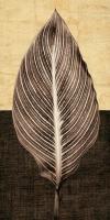 Palm Leaf I #IS5195