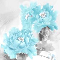 Flower Bloom in Aqua II #JES113302