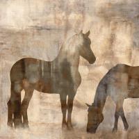 Equine II #JM6870