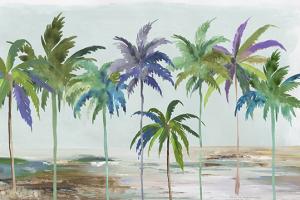 Tropical Dream #JN443-A