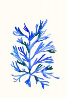 Ultramarine Growing 1 #98522