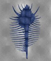 Sea Life - Blue on Silver VI #MEL112644