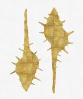 Sea Life - Gold on White II #MEL112656