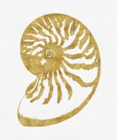 Sea Life - Gold on White III #MEL112657