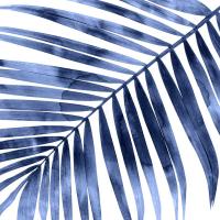 Tropical Indigo Palm I #MMR114332