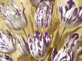 Tulips on Gold I #MQ115036