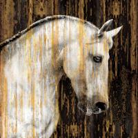 Horse II #MRR7378