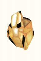 Faceted Gem Topaz #92708