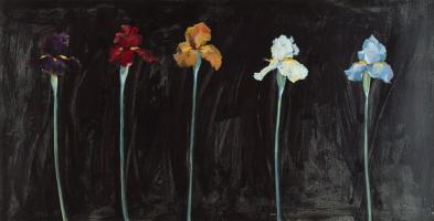 Midnight Irises #75068
