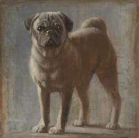 Pug #OMAC-129