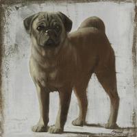 Pug #PMAC-130