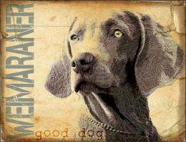 Weimaraner #86788