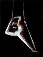 The Acrobat #RDS111872