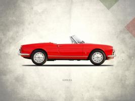 Alfa-Romeo Giulia 1600 Spider #RGN113371