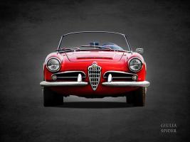 Alfa Giulia 1600 Spider 1964 #RGN114377