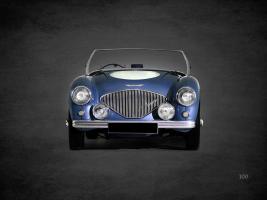 Austin-Healey 100 1953 #RGN114388