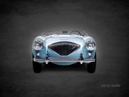 Austin-Healey 100 LeMans 1956 #RGN114389