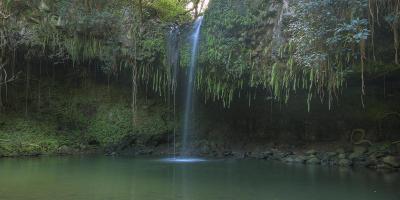Twin Falls - Maui #SN112020