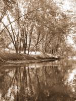 Mecan River 2 #72292