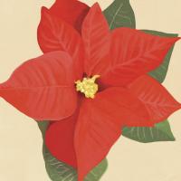 Flower Art 12 #91739