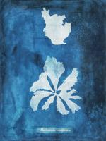 Natural Forms Blue 9 #102187
