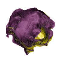 Polished in Eggplant - Recolor #102834