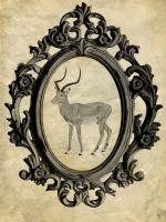 Framed Gazelle #89753