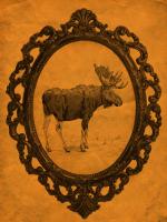 Framed Moose in Tangerine #89822
