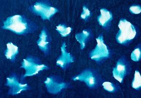 Cyanotype H #90541
