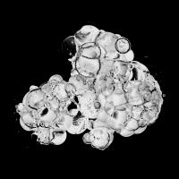 Cellular Cloud on Black C #91964
