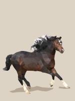 Fractal Horse #98793
