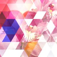Crystalized Orchids #98859