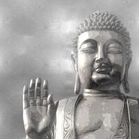 Silver Buddha #TY112675