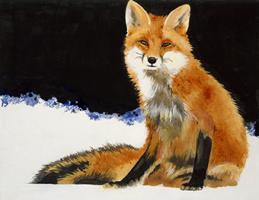 Fox #UJAR-113