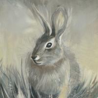 Wild Hare II #UJAR-177