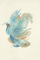 Betta I #UMAN-108