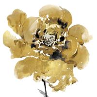 Golden II #VAU115105