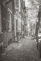 Colonial Street #92362