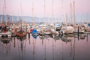 Santa Barbara Harbor #92370