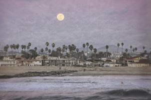 Moonlight Shore #92372